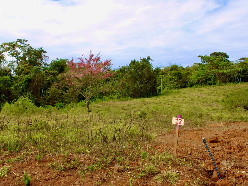 0 bed Developments For Sale in Santa Teresa, Puntarenas - hero 21