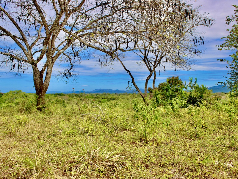 0 bed Developments For Sale in Santa Teresa, Puntarenas - hero 6