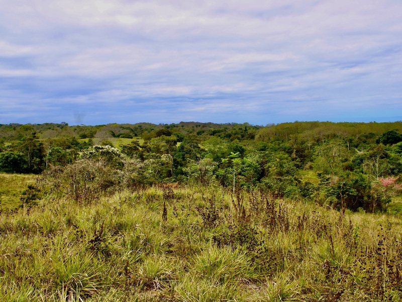 0 bed Developments For Sale in Santa Teresa, Puntarenas - hero 5