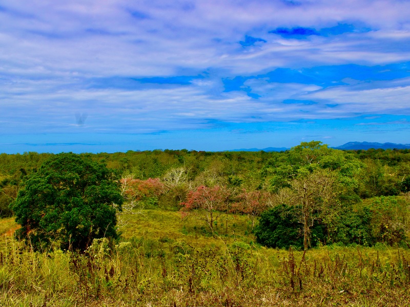 0 bed Communities For Sale in Santa Teresa, Puntarenas - 3