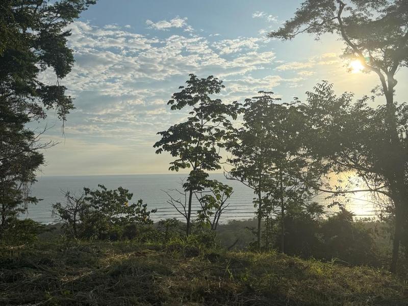 0 bed Land For Sale in Malpais, Puntarenas - 1