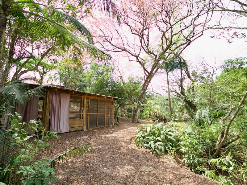 0 bed Land For Sale in Nosara, Guanacaste - 1