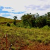  - Generous Land with Beautiful Trees Lot #12 - Private Road Access