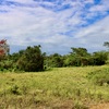  - Generous Land with Beautiful Trees Lot #12 - Private Road Access