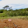  - Generous Land with Beautiful Trees Lot #12 - Private Road Access