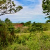  - Generous Land with Beautiful Trees Lot #12 - Private Road Access