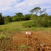  - Generous Land with Beautiful Trees Lot #12 - Private Road Access