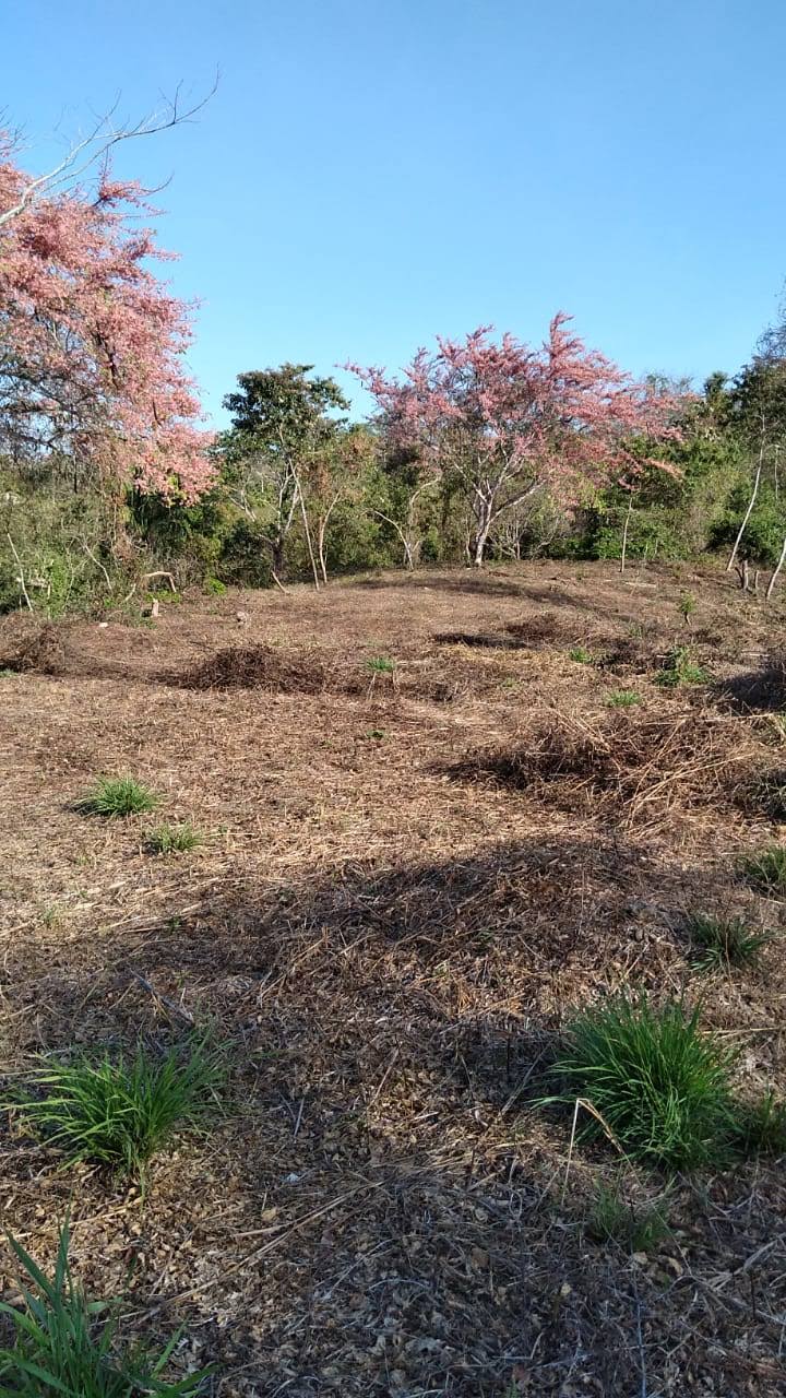 0 bed Land For Sale in Santiago, Puntarenas - thumb 2