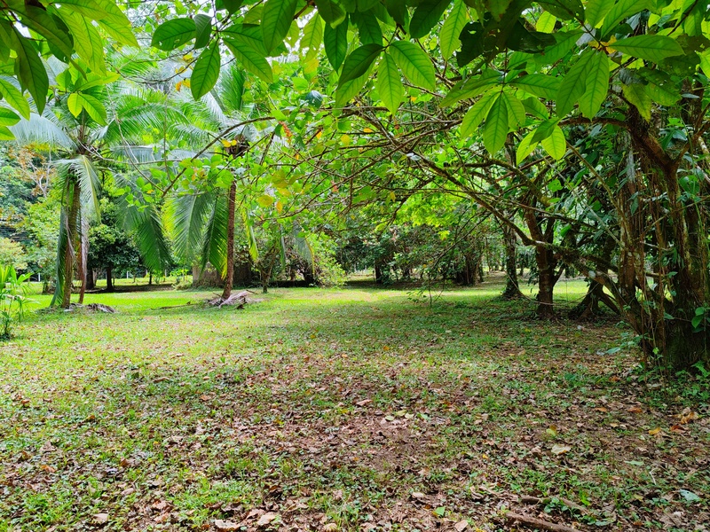 0 bed Land For Sale in Puerto Viejo, Limón - 1