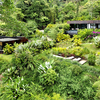  - Black House Villas
