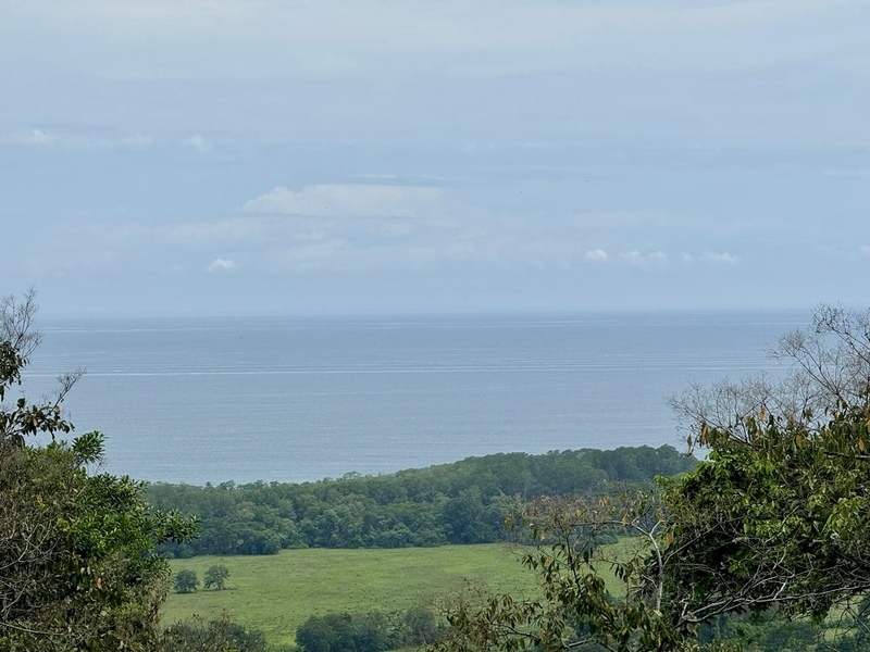 0 bed Land For Sale in Dominical, Puntarenas - 1