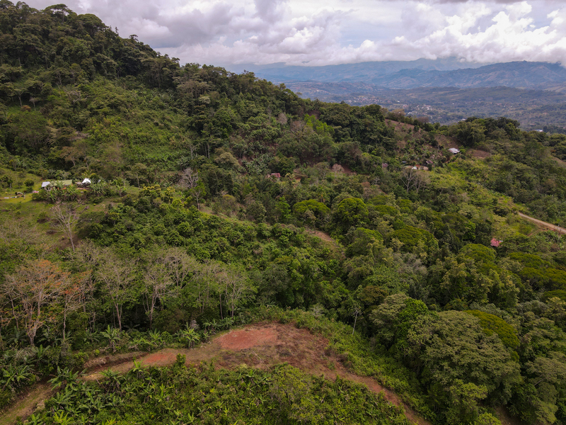 0 bed Land For Sale in Perez Zeledon, San Jose - 1