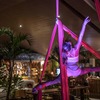  - Dolce Vita - Ocean Front Titled Restaurant and BnB