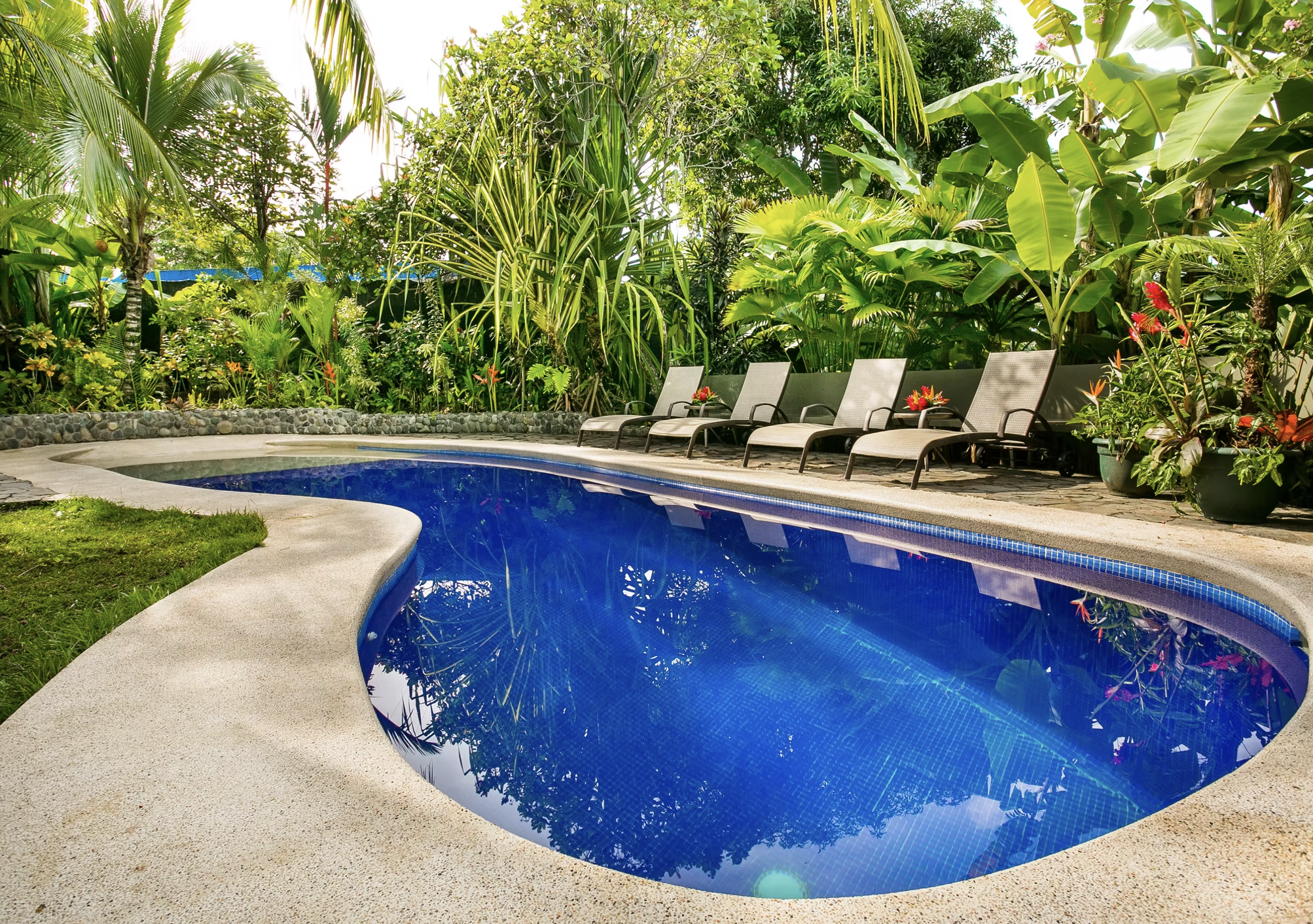 7 bed Hotel / Leisure For Sale in Manuel Antonio, Puntarenas - thumb 2