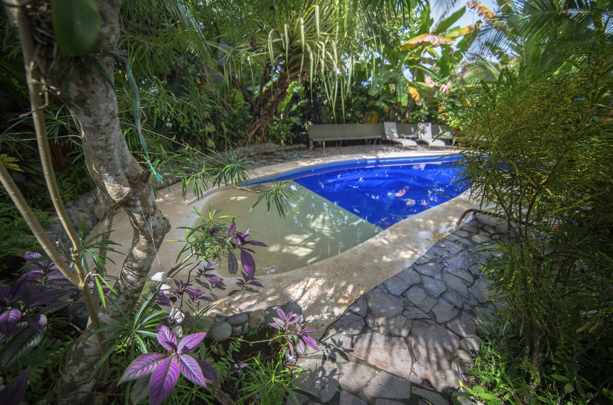 7 bed Hotel / Leisure For Sale in Manuel Antonio, Puntarenas - thumb 1