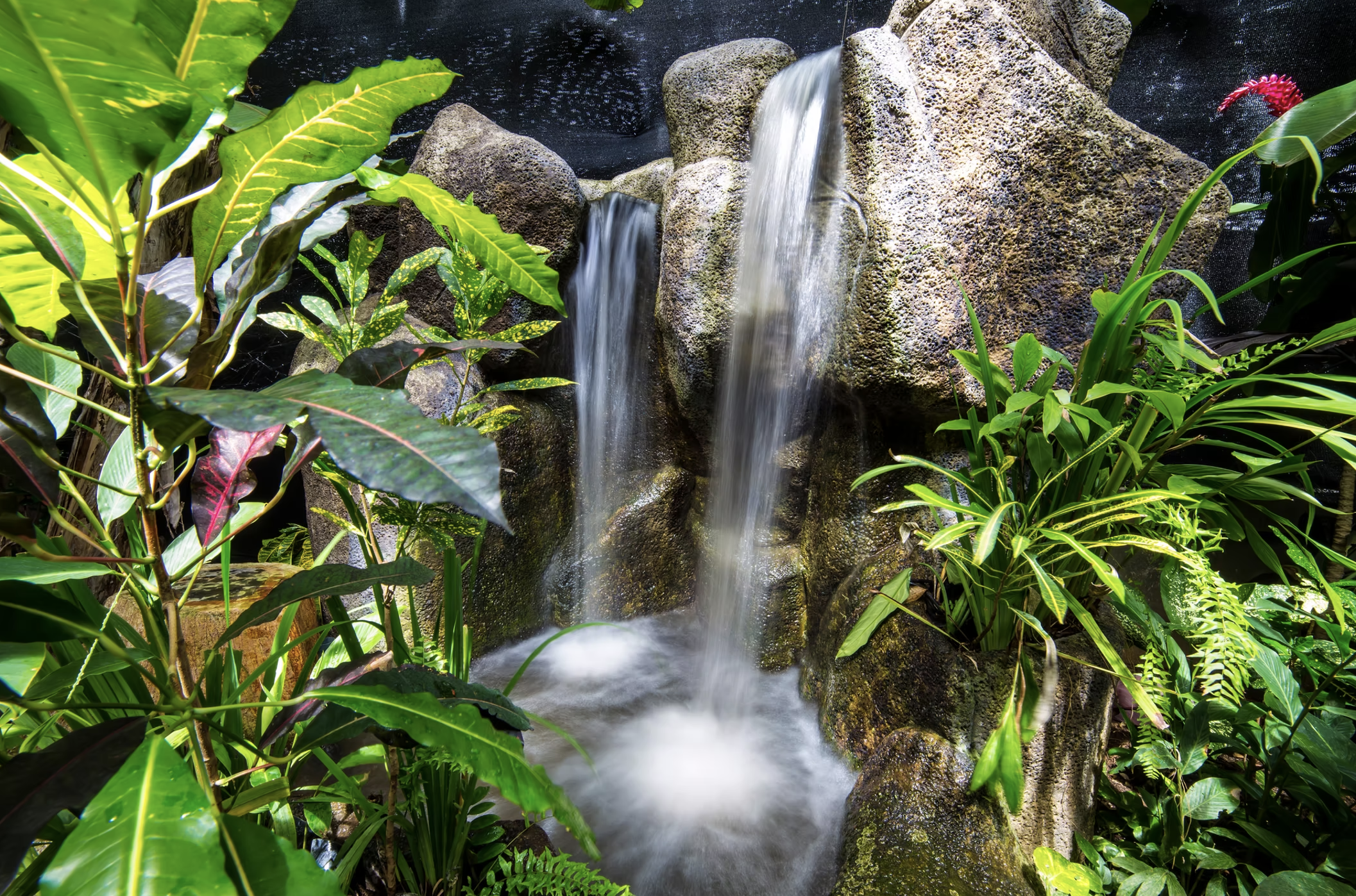 7 bed Hotel / Leisure For Sale in Manuel Antonio, Puntarenas - thumb 14