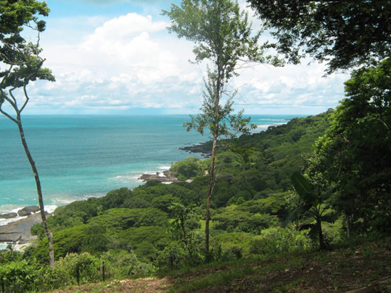 0 bed Land For Sale in Delicias, Puntarenas - 1