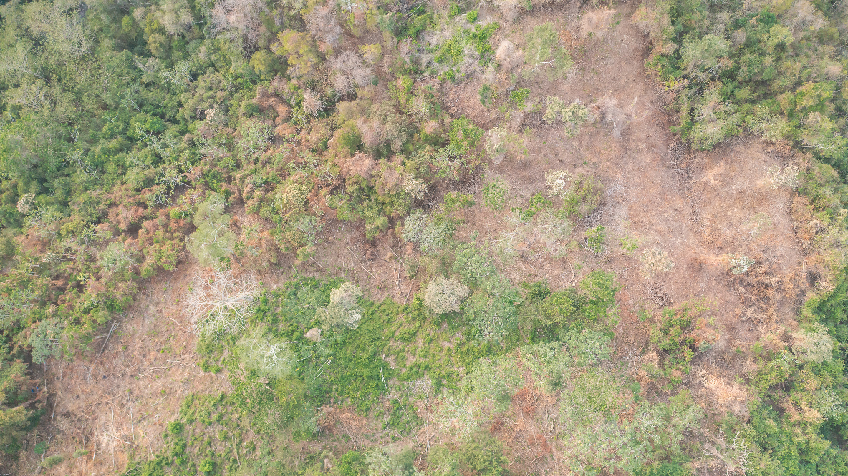 0 bed Land For Sale in Playa Hermosa Santa Teresa, Puntarenas - thumb 3