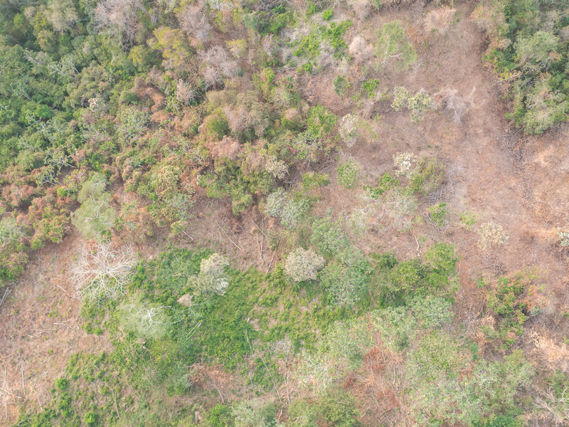 0 bed Land For Sale in Playa Hermosa Santa Teresa, Puntarenas - photo 3