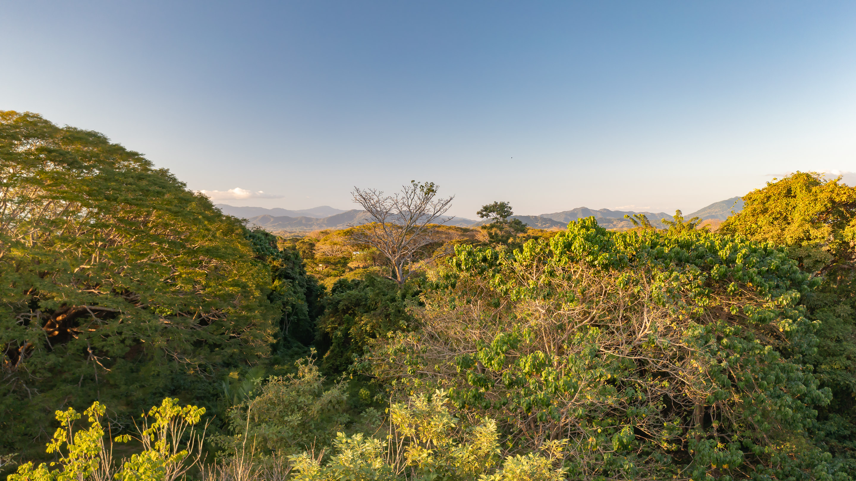 0 bed Land For Sale in Playa Hermosa Santa Teresa, Puntarenas - thumb 1