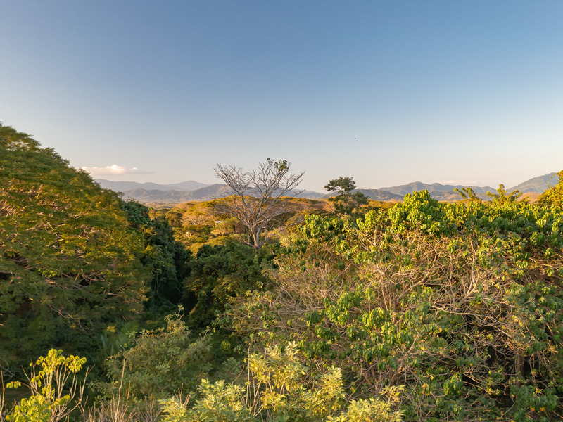 0 bed Land For Sale in Playa Hermosa Santa Teresa, Puntarenas - 1