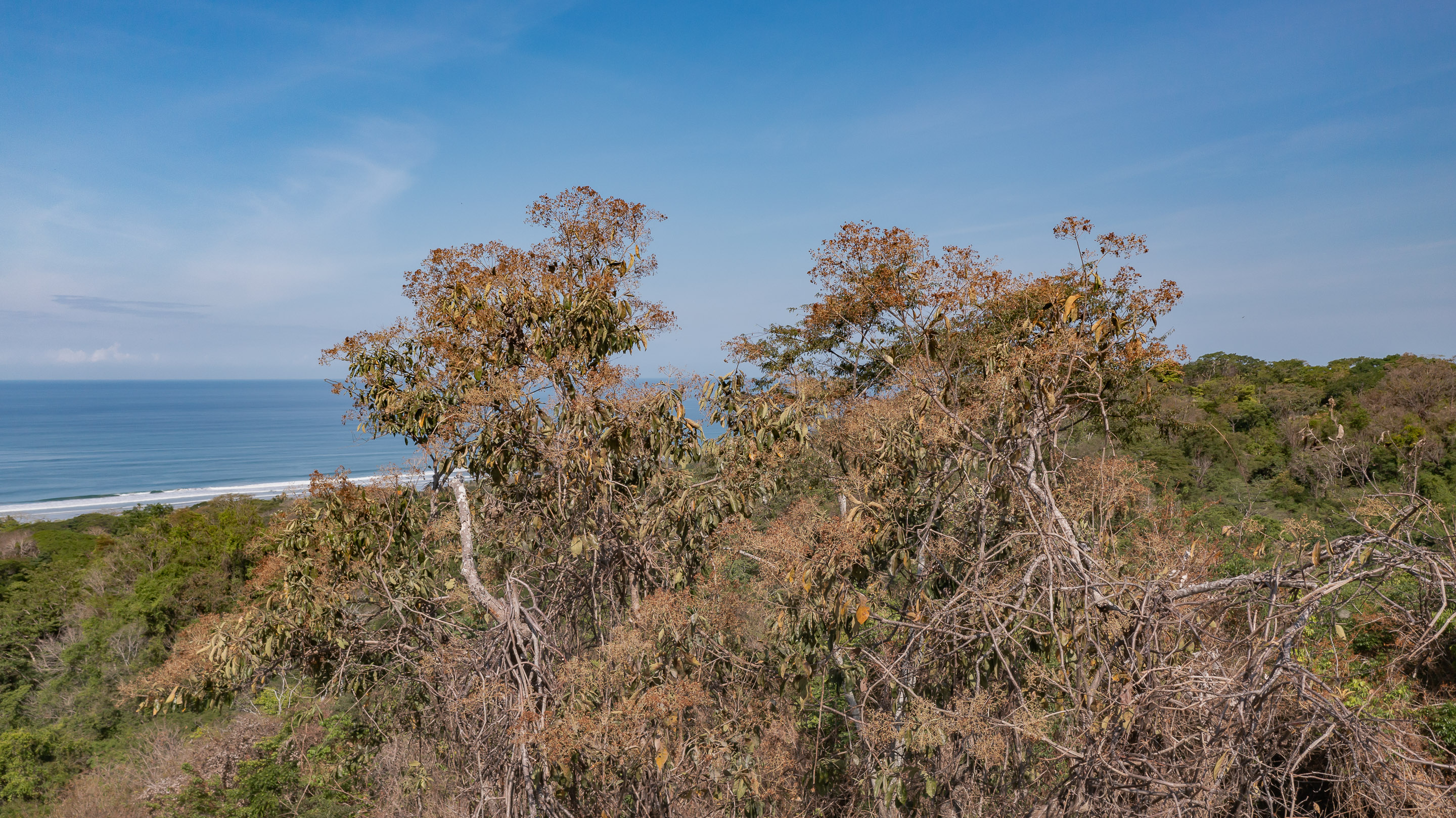 0 bed Land For Sale in Playa Hermosa Santa Teresa, Puntarenas - thumb 6