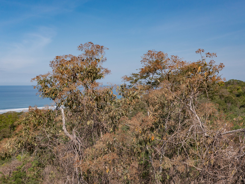 0 bed Land For Sale in Playa Hermosa Santa Teresa, Puntarenas - photo 6