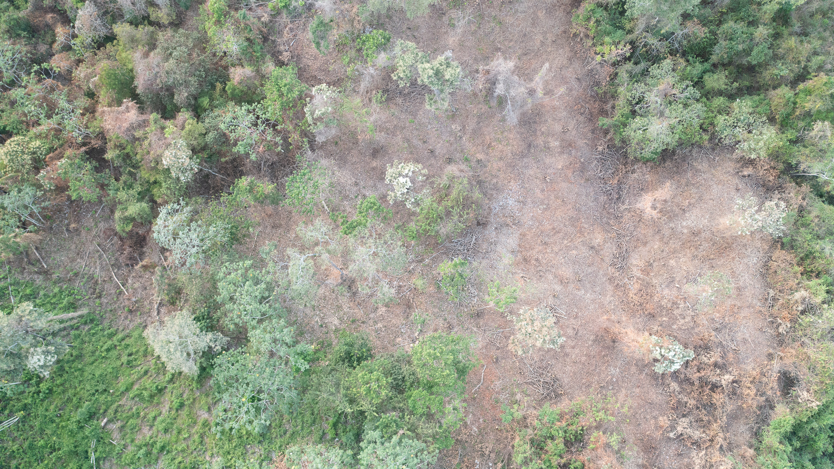 0 bed Land For Sale in Playa Hermosa Santa Teresa, Puntarenas - thumb 4