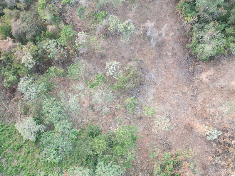 0 bed Land For Sale in Playa Hermosa Santa Teresa, Puntarenas - photo 4