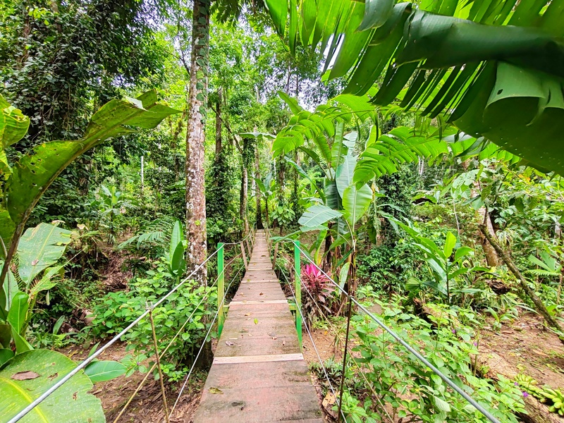 1 bed Single Family Homes For Sale in Puerto Viejo, Limón - 1