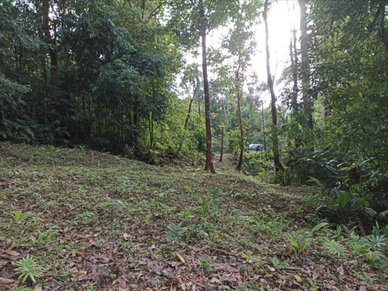 0 bed Land For Sale in Quepos, Puntarenas - 1