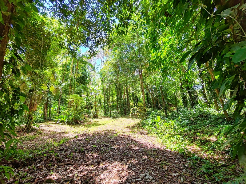 0 bed Land For Sale in Puerto Viejo, Limón - 1