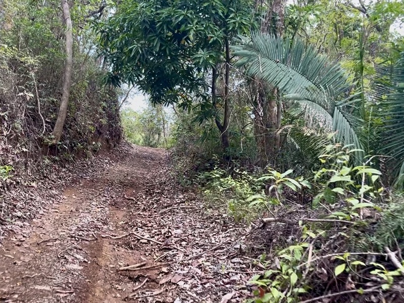 0 bed Land For Sale in Samara, Guanacaste - hero 3