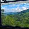  - 11 Acre River front Property with Cabin and mature fruit trees