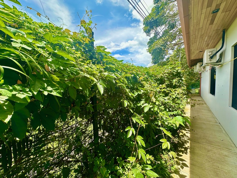 3 bed Single Family Homes For Sale in Atenas, Alajuela - hero 22