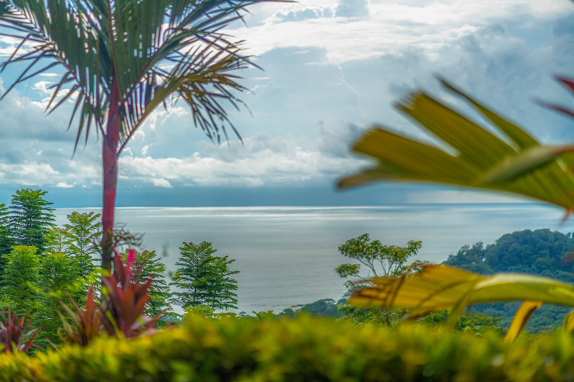 7 bed Single Family Homes For Sale in Dominical, Puntarenas - thumb 27