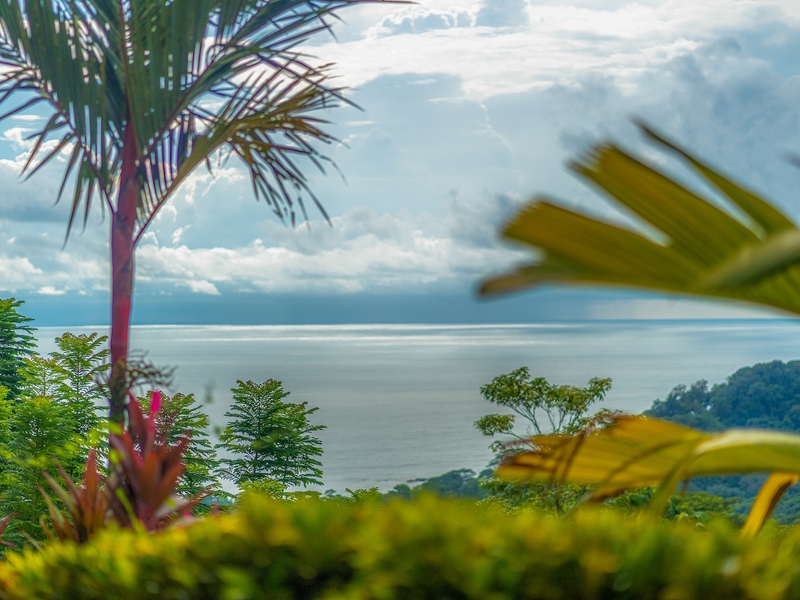 7 bed Single Family Homes For Sale in Dominical, Puntarenas - photo 27