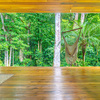  - Luxury Costa Rica Compound Minutes from Dominical and Hidden Beaches