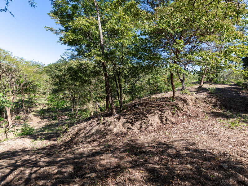 0 bed Land For Sale in Nosara, Guanacaste - 1