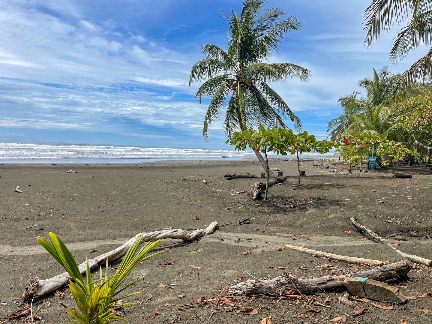 2 bed Apartment For Rent in Bejuco, Puntarenas - thumb 1
