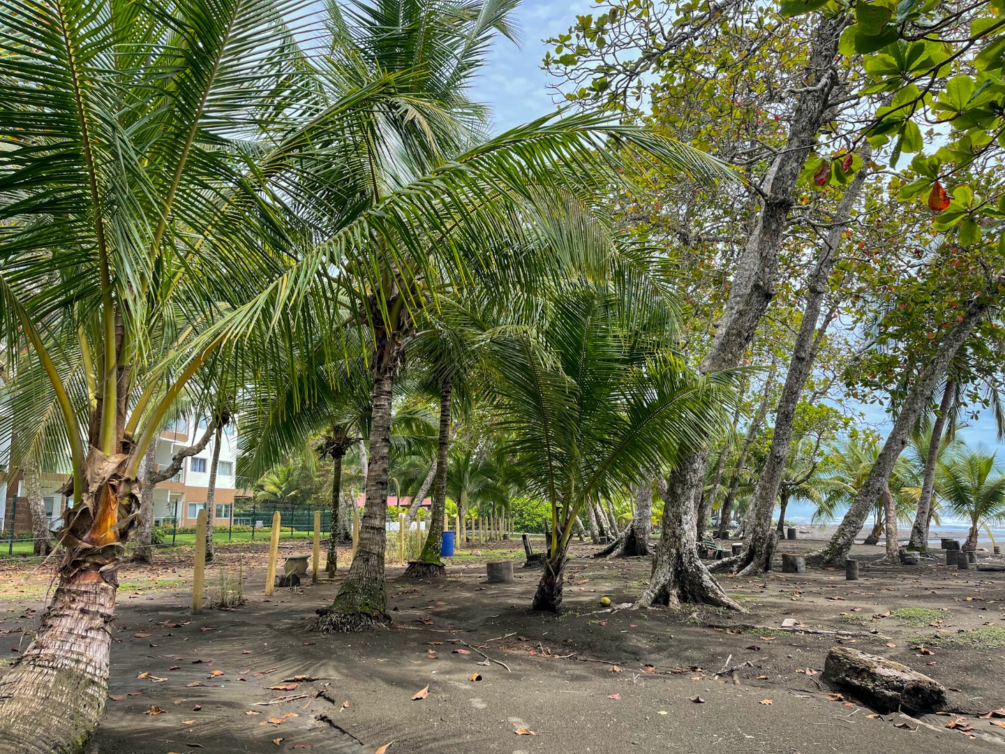 2 bed Apartment For Rent in Bejuco, Puntarenas - thumb 5