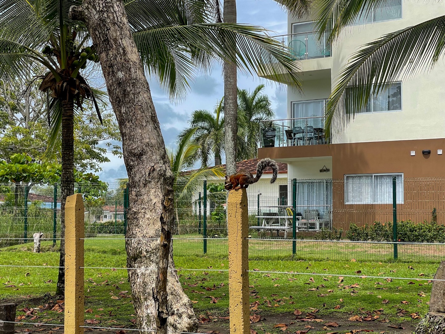 2 bed Apartment For Rent in Bejuco, Puntarenas - thumb 6