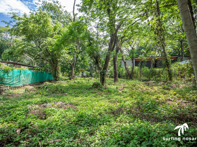 0 bed Land For Sale in Nosara, Guanacaste - 1