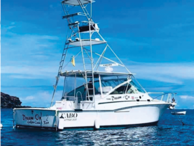 0 bed Business For Sale in Playas Del Coco, Guanacaste - 1