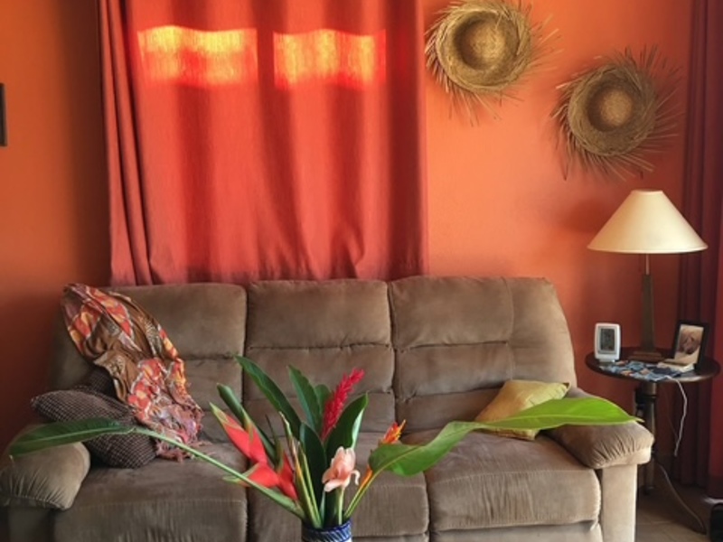 2 bed Condo For Rent in Playas Del Coco, Guanacaste - hero 8