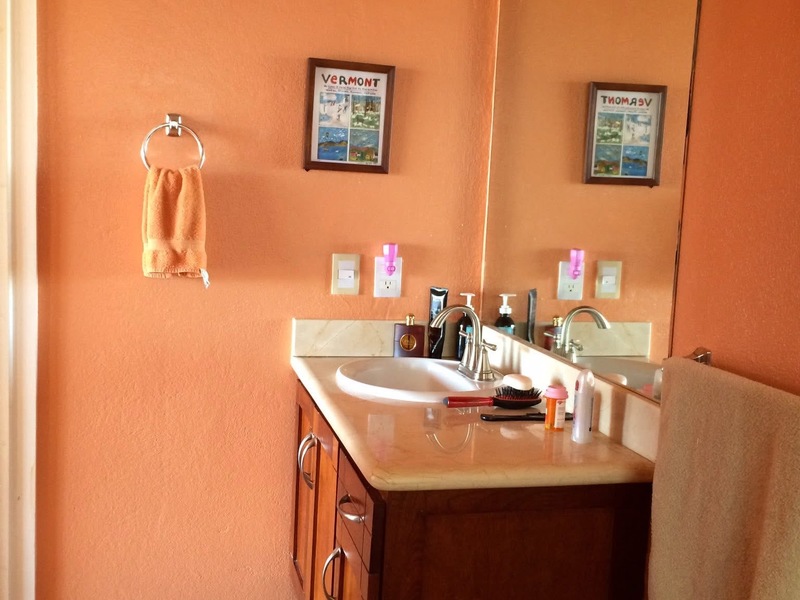 2 bed Condo For Rent in Playas Del Coco, Guanacaste - hero 9