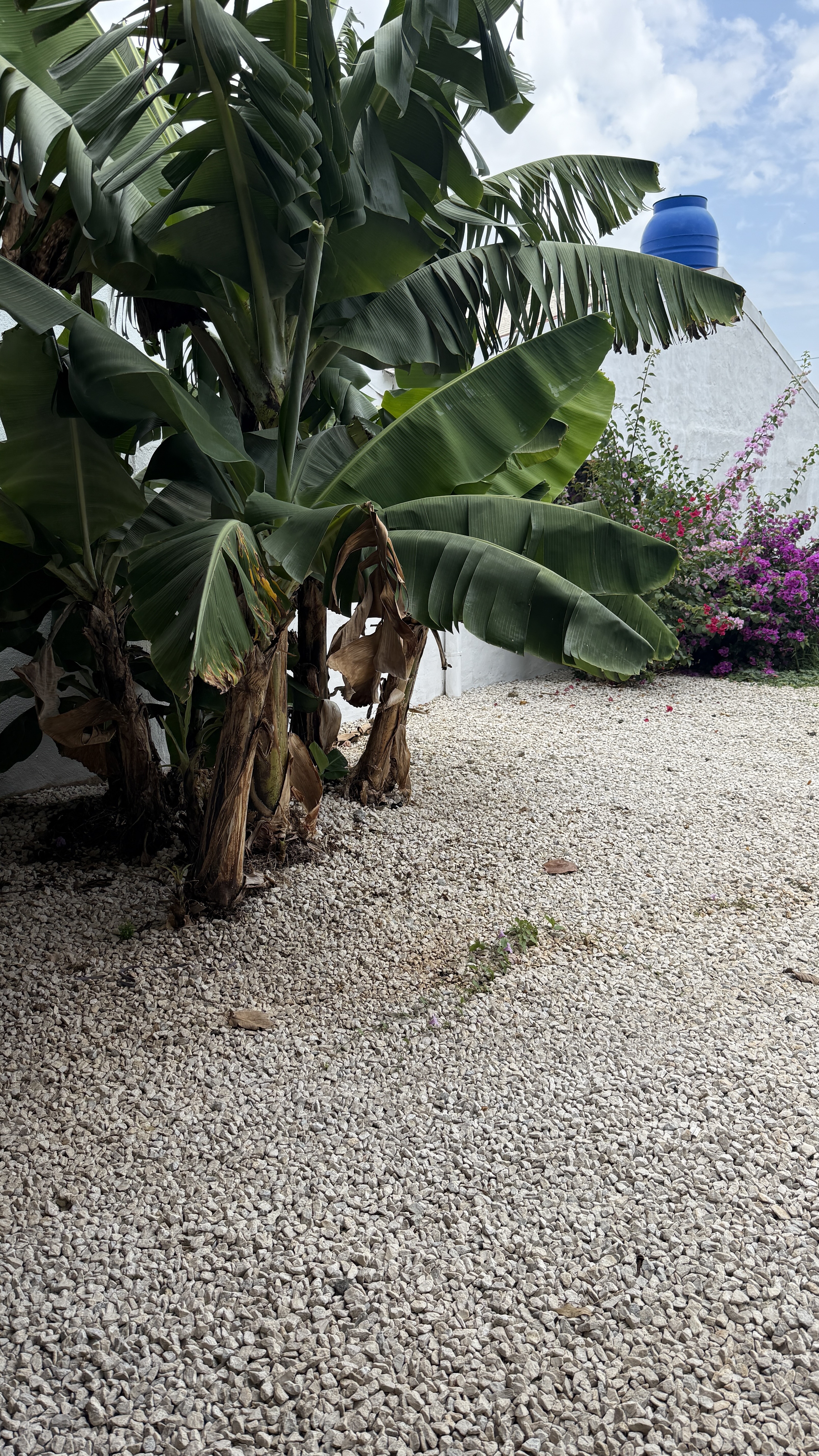 7 bed Single Family Homes For Sale in Atenas, Alajuela - thumb 23