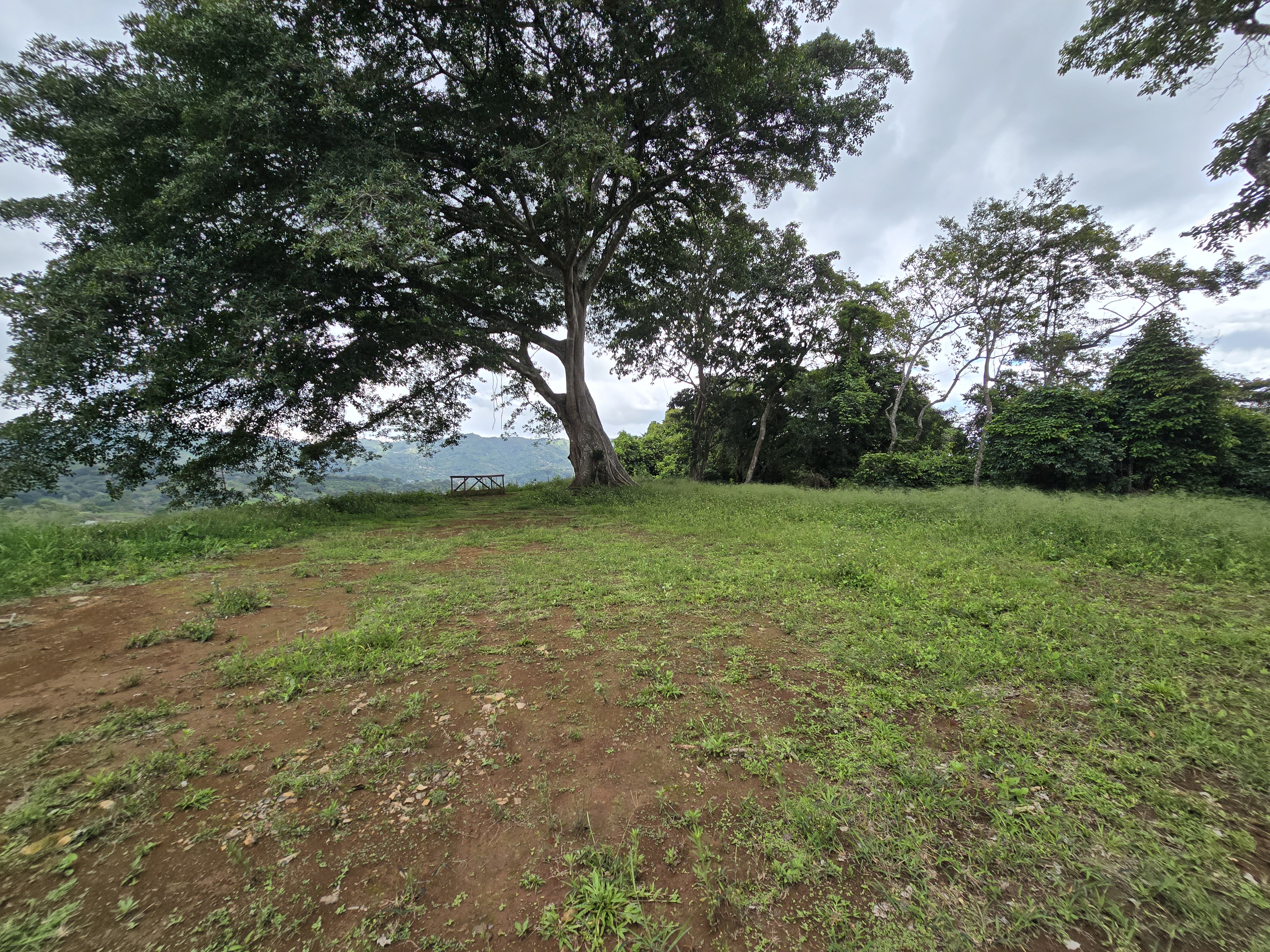 0 bed Land For Sale in Atenas, Alajuela - thumb 6