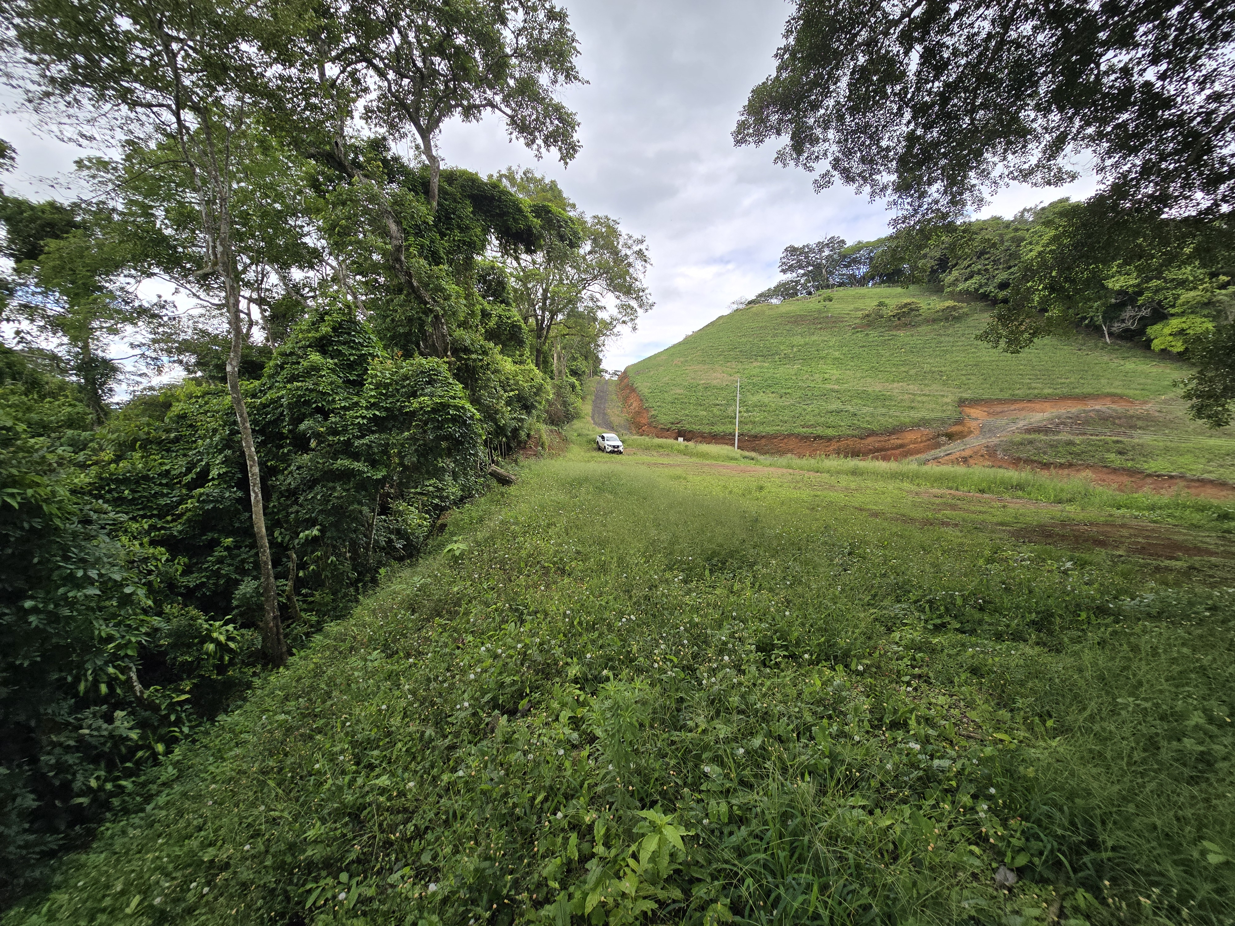 0 bed Land For Sale in Atenas, Alajuela - thumb 11