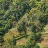  - CASA FE on 0.61 ACRES LOT